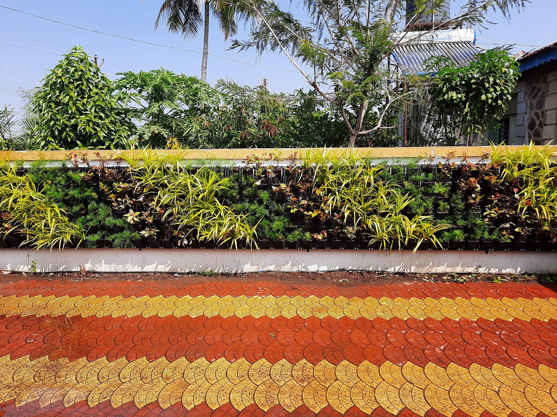 Banded planting across the face of the wall shortly after installation