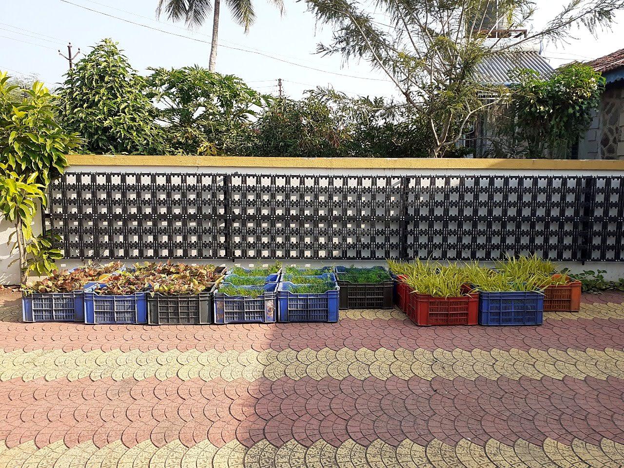 The empty pocket panels fixed to the wall, plants waiting in crates below