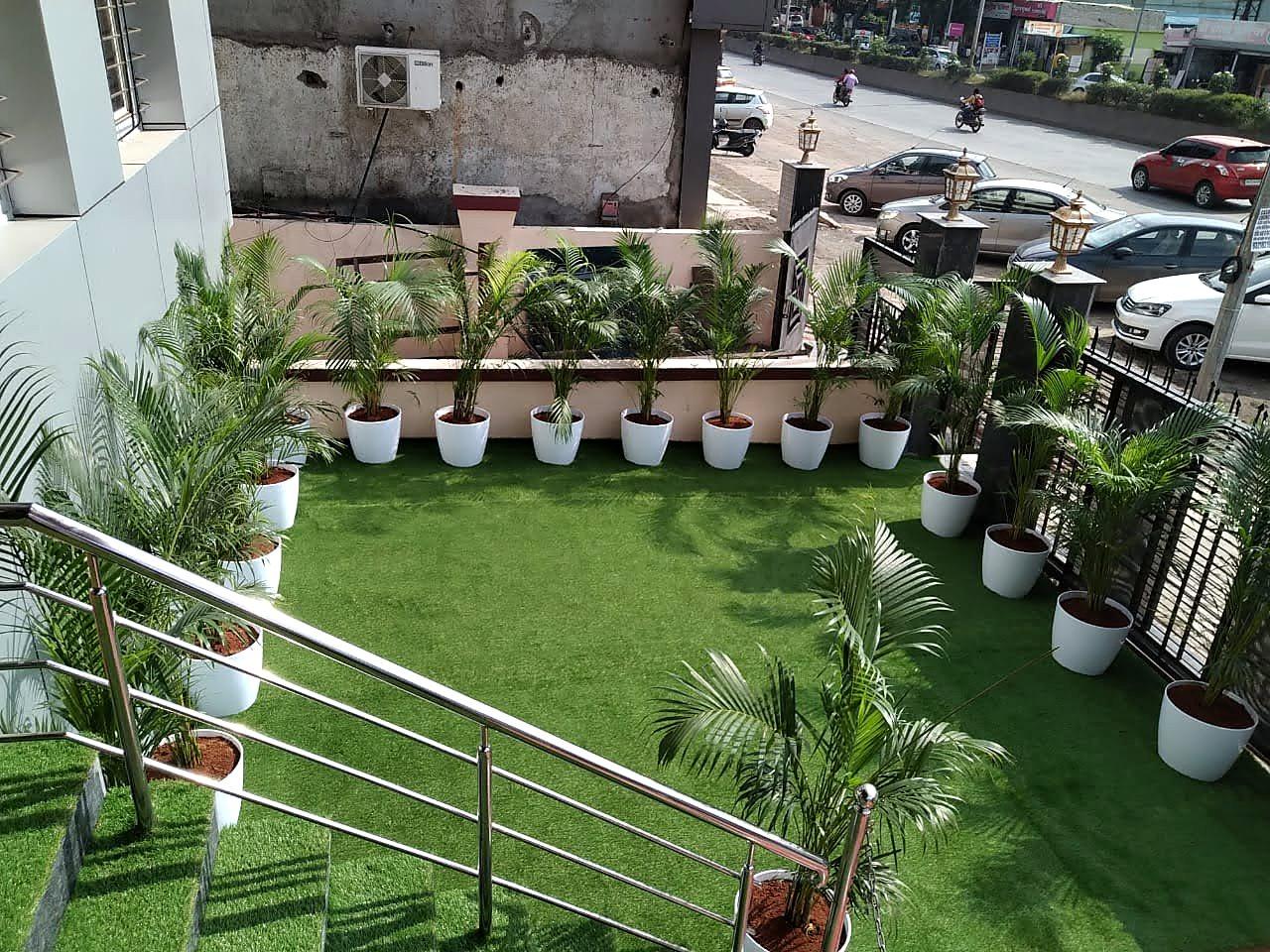 The hospital forecourt seen from the entrance stair, palms lining the road edge
