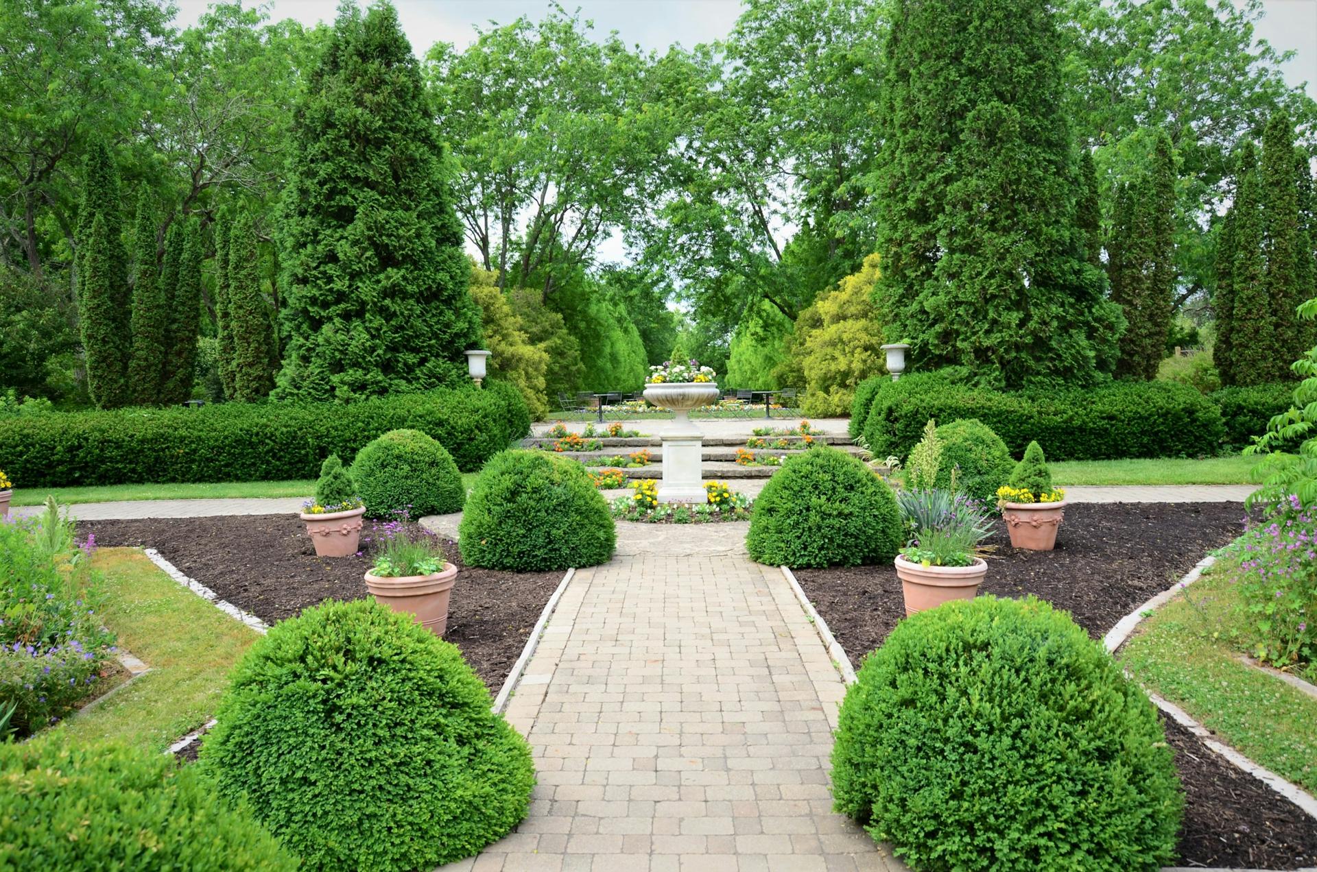 A formal garden of clipped evergreens and gravel walkways