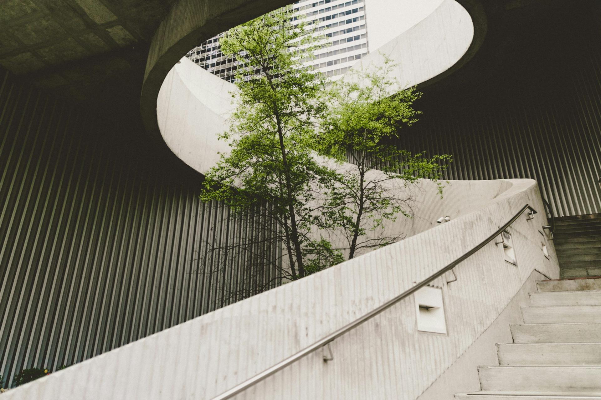 A sculptural concrete stair with a single tree