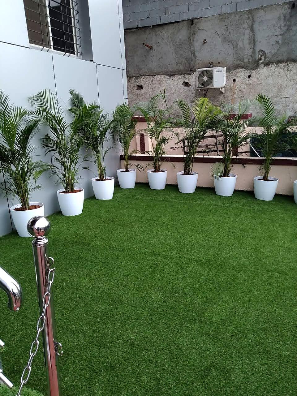 Palms screening the boundary wall on the far side of the court
