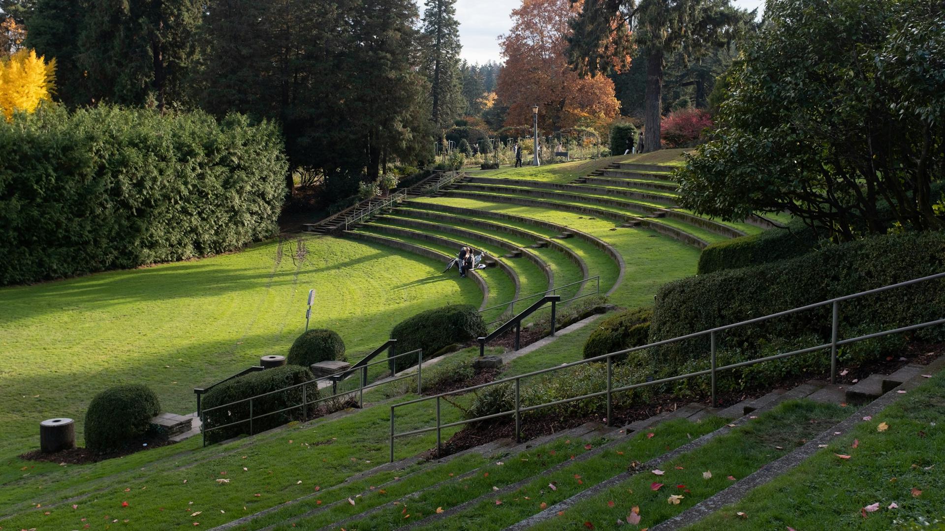 A terraced lawn stepping down towards mature trees