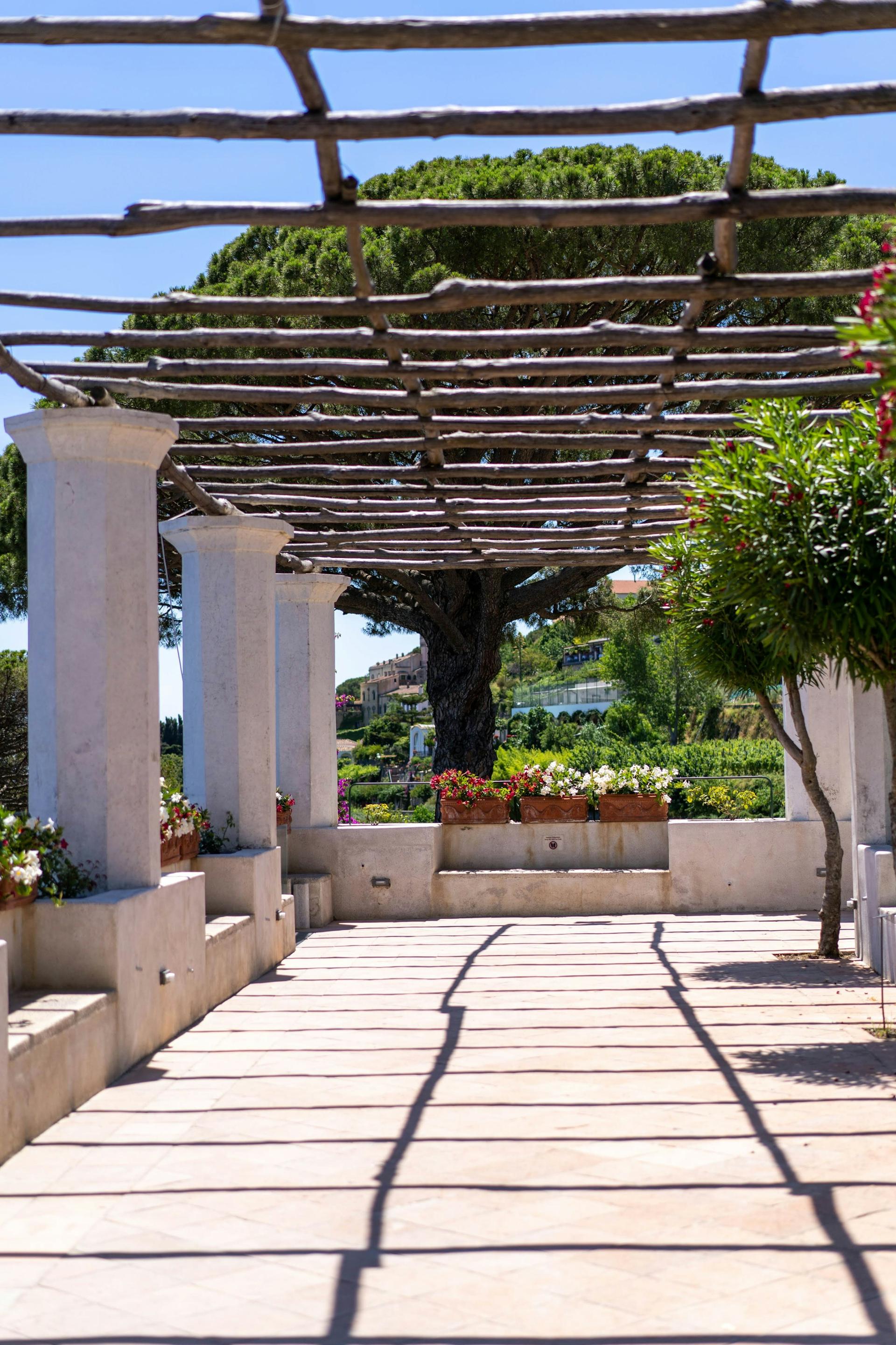 A whitewashed path beneath a timber pergola
